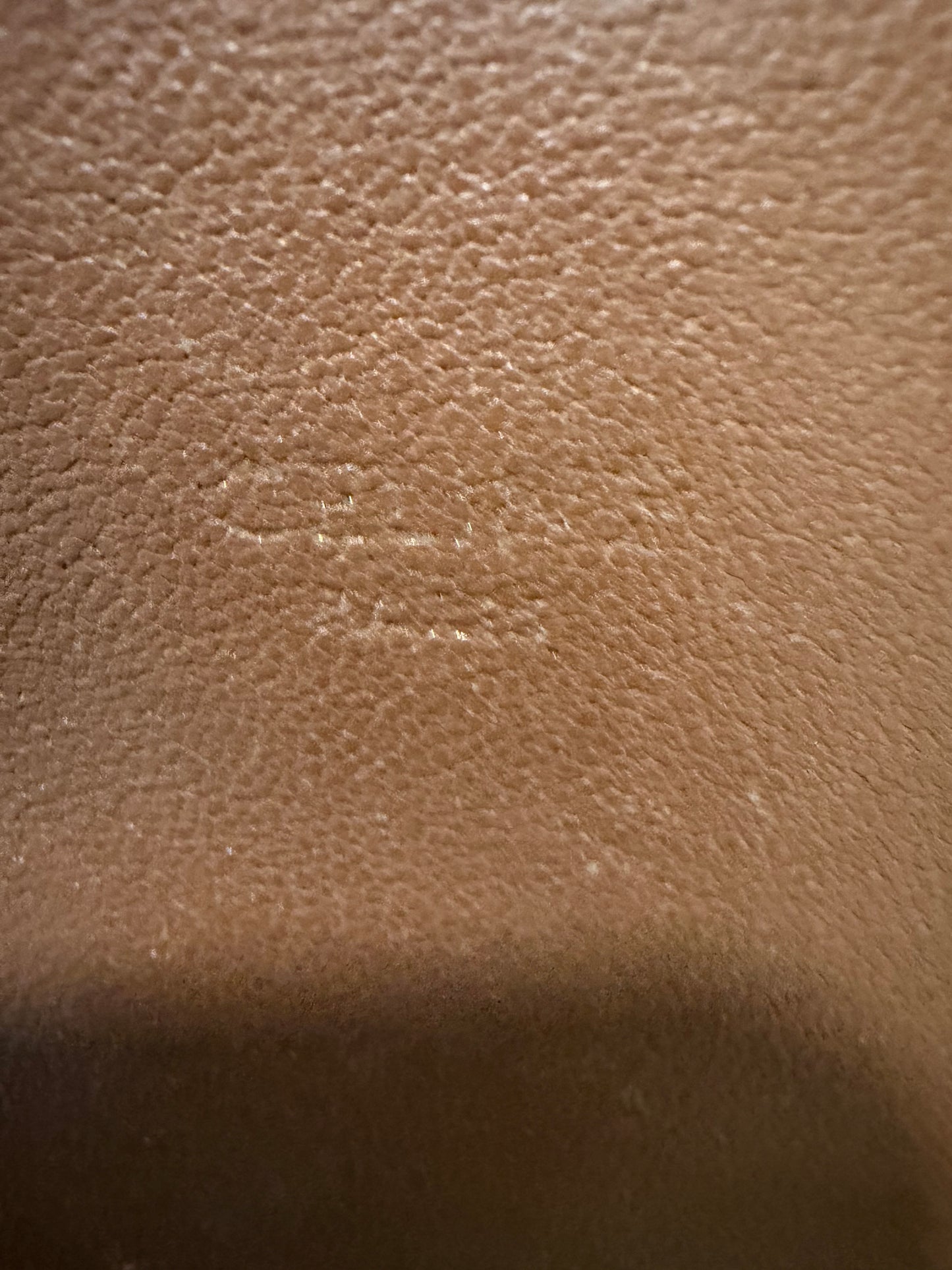 1114 CELINE Mini Crossbody