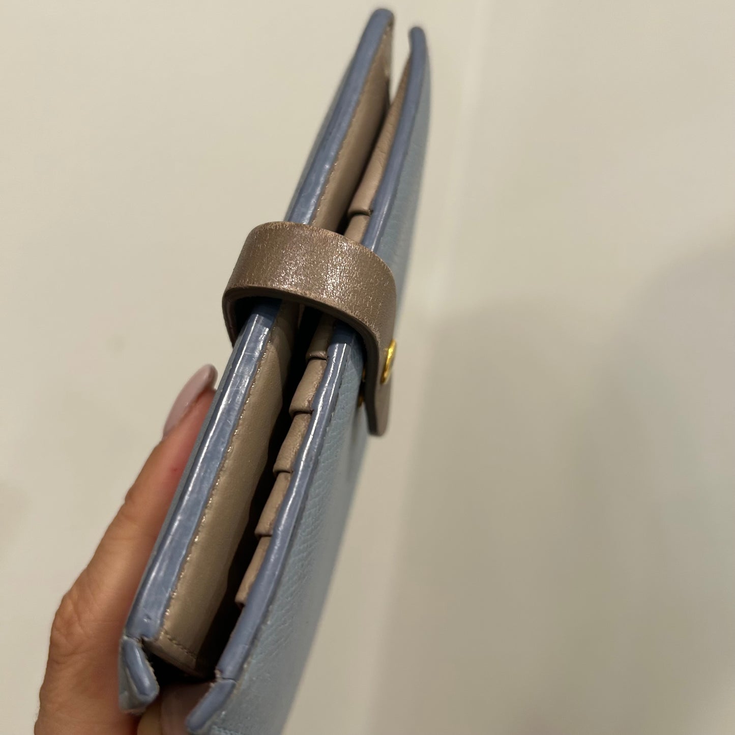 #110 Celine Blue Wallet