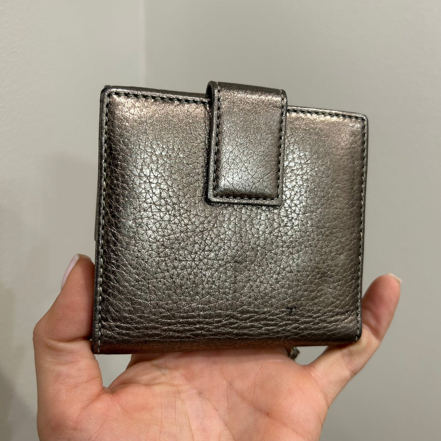 Christian Dior Metalic Wallet