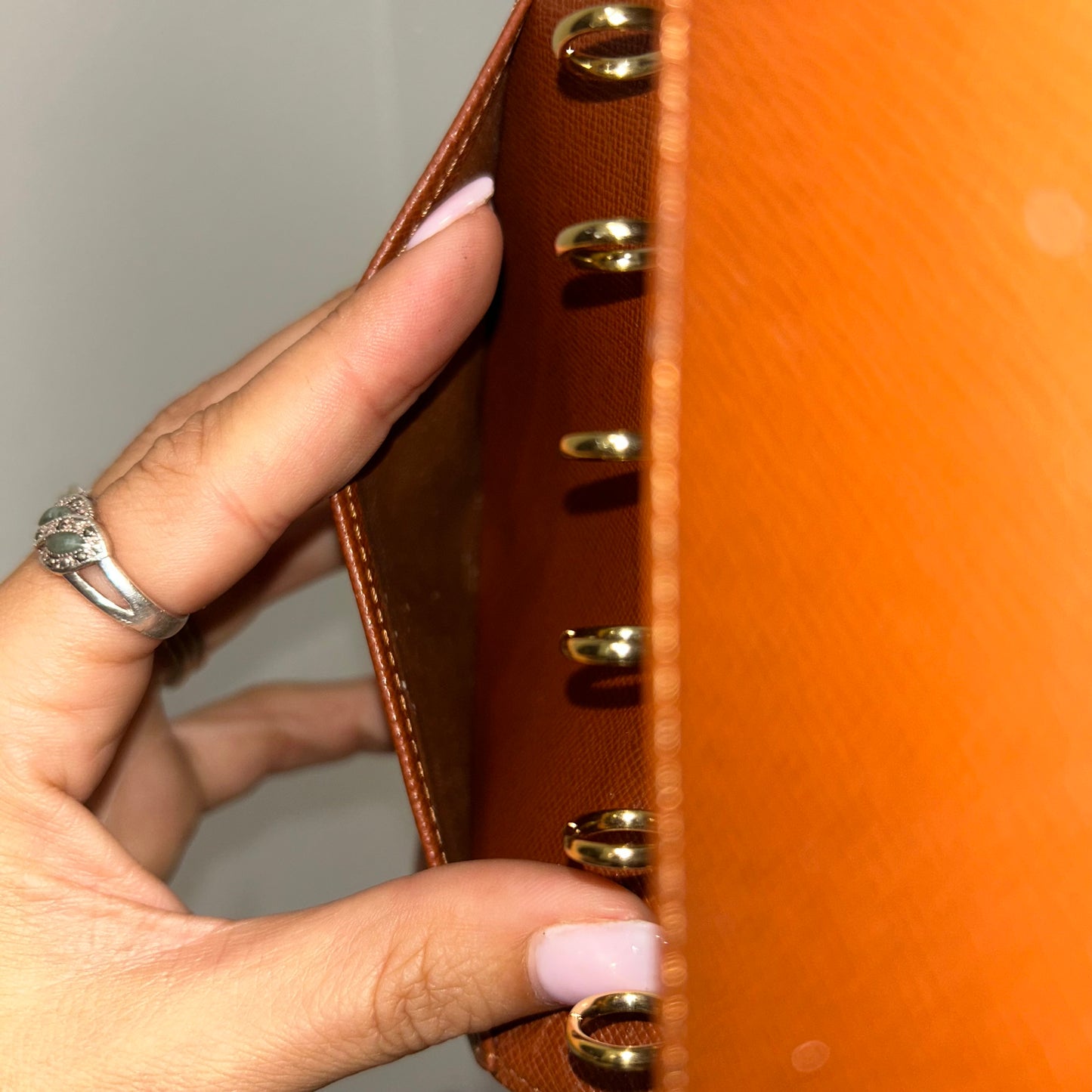 1001 LOUIS VUITTON Agenda PM MSRP $505