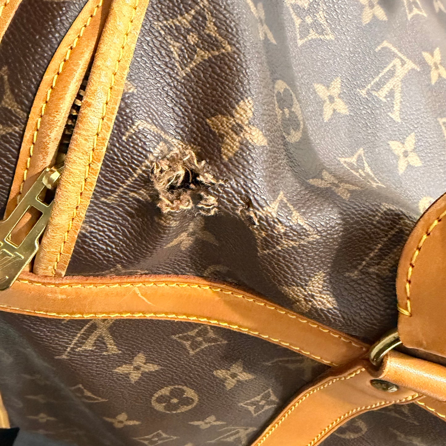 8917 LOUIS VUITTON Sac Champ 50 Pet Bag Carrier