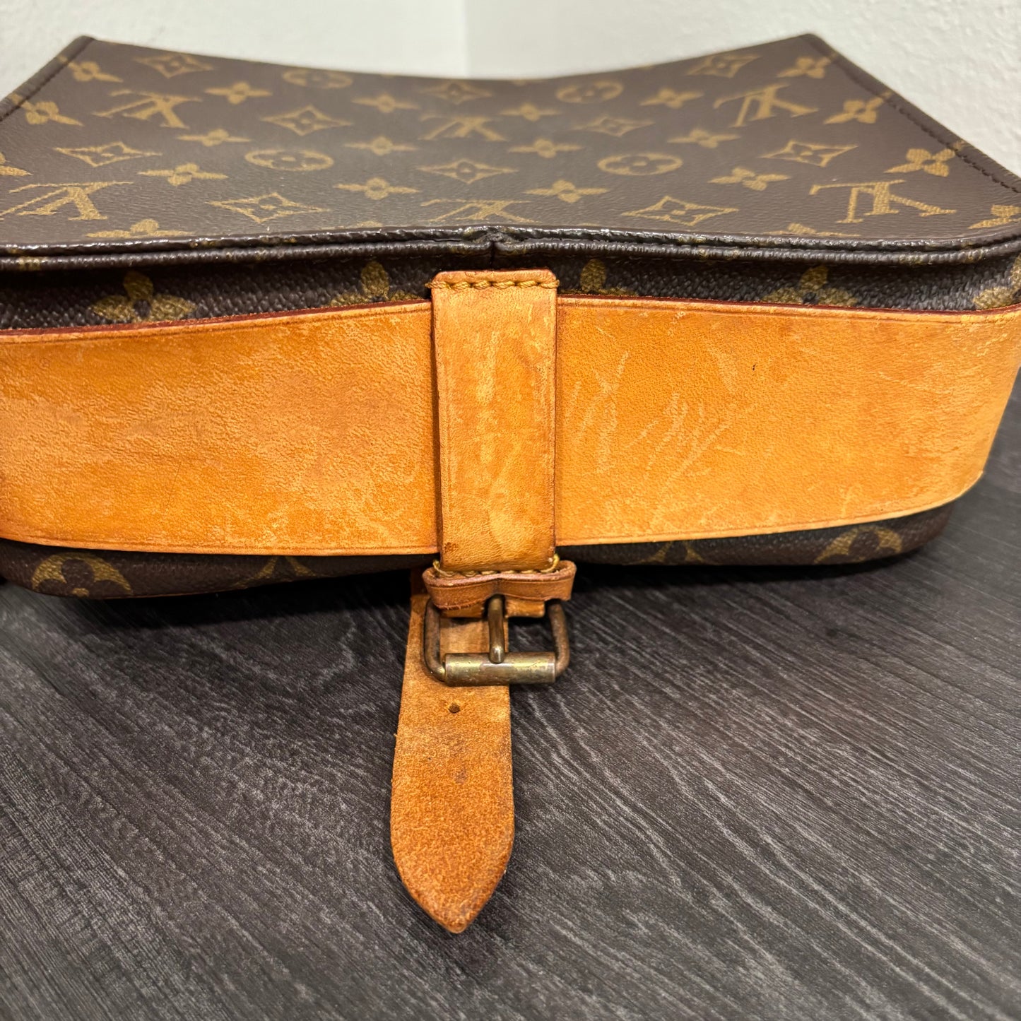 #341 LOUIS VUITTON Cartouchiere MM
