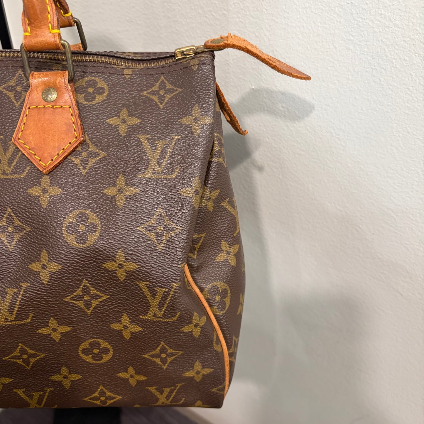 #8231 LOUIS VUITTON Speedy 30