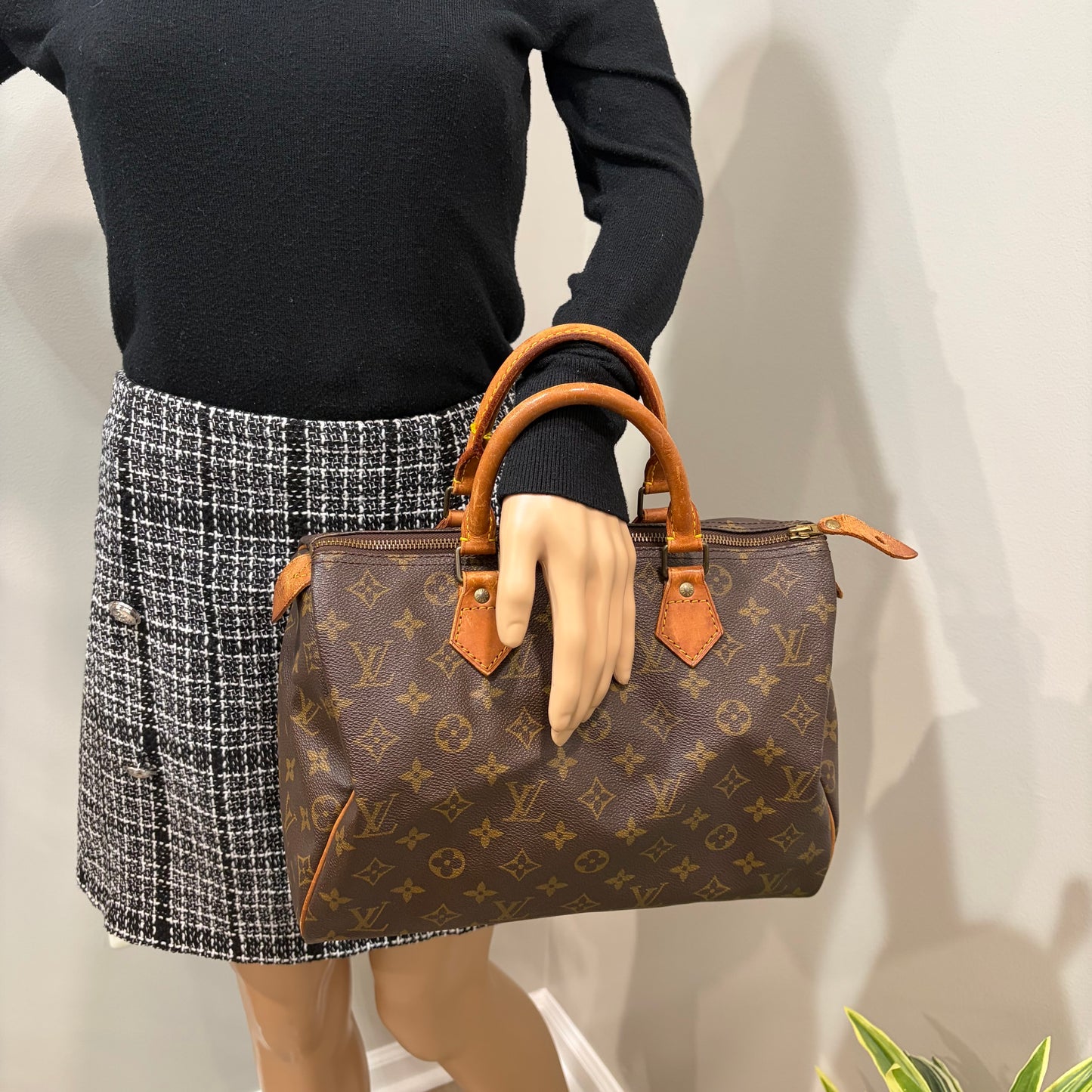 #8231 LOUIS VUITTON Speedy 30