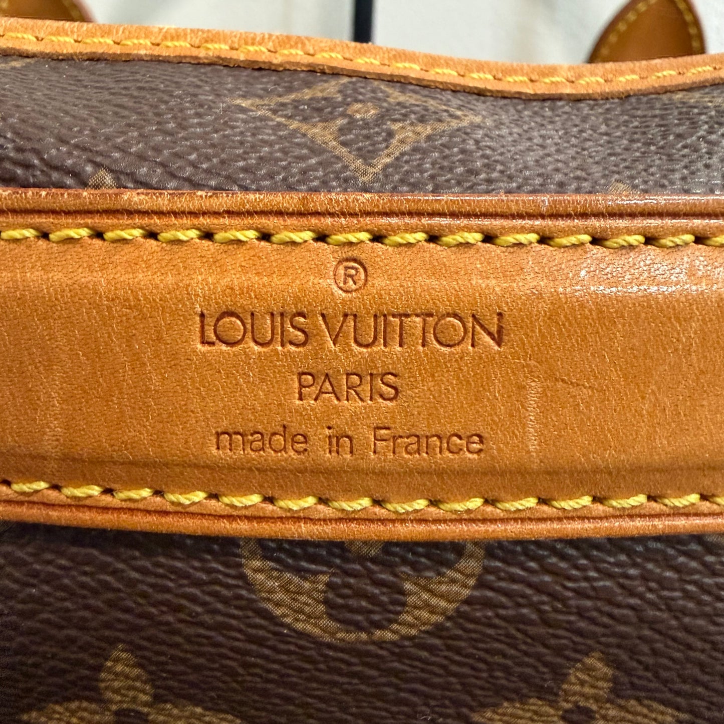 8917 LOUIS VUITTON Sac Champ 50 Pet Bag Carrier