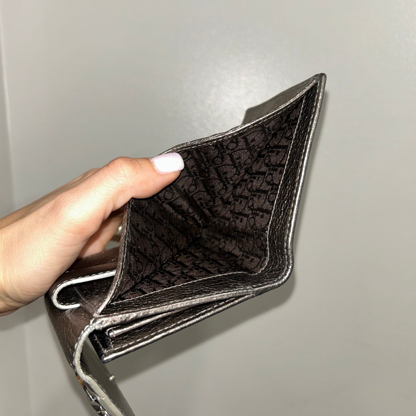 Christian Dior Metalic Wallet