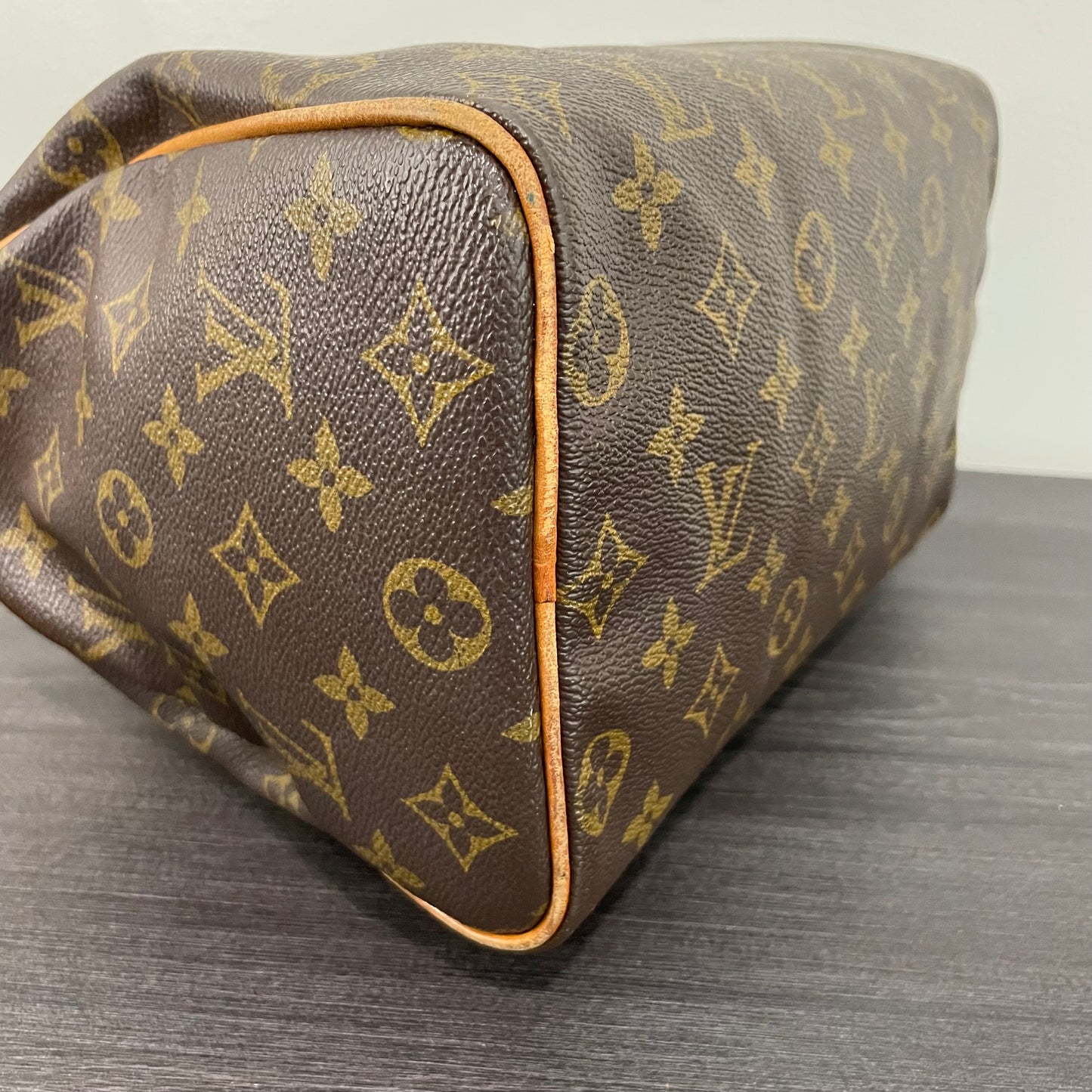 Louis Vuitton Monogram Speedy 25