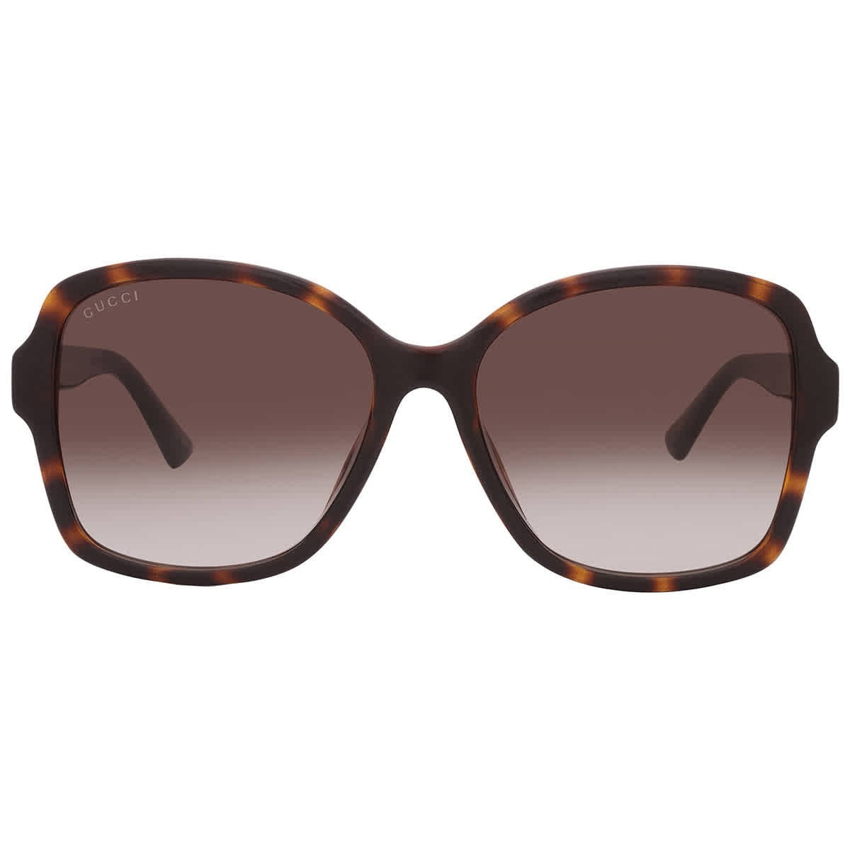 #3208 NEW GUCCI Tortoise Sunglasses