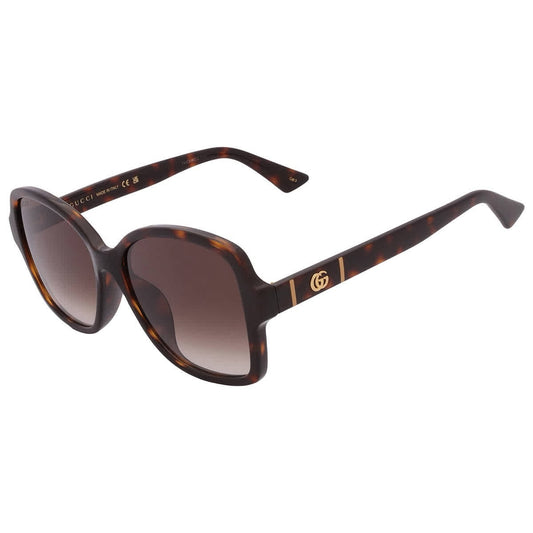 #3208 NEW GUCCI Tortoise Sunglasses